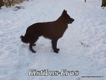 Eros poseert in de sneeuw, en is goed te zien zo